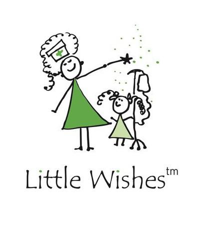 Little Wishes Organization 